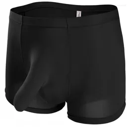 Cueca divertida calcinha de calcinha masculina boxers sexy shorts elefante nariz jj seda gelo calças