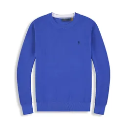 Moda erkek tasarımcısı polo kazak yün nakış rahat sıcak kazak rahat örme lauren jumper küçük at pamuk sweatshirt