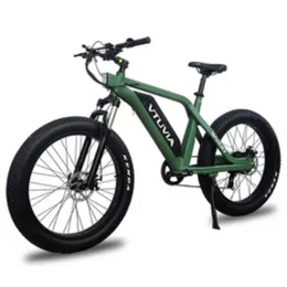 VTUVIA/26*4.0 750W 1000W big power Fat tire electric Mountain E bike/Snow bike/electric bicycle with CE