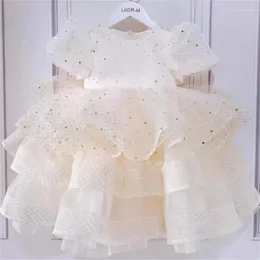 소녀 드레스 2023 샴페인 골드 스타 스트레치 메쉬 투투 여자 생일 파티 패션 드레스 공주