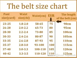 belt 110 Fashion Classic Printed Designer Smooth Buckle Genuine Leather Casual Belt 19 Styles Width 38mm Belts Wome