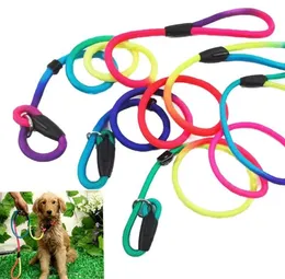 Pet Dog Leashes Durable Nylon Rainbow 1.2M Walking Training Leash Cats Dogs Harness Collar Leashes Strap Belt Rope