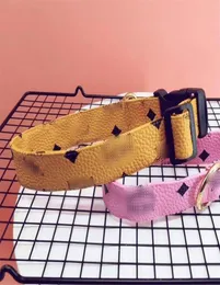 클래식 레터 인쇄 된 애완 동물 칼라 스프링 가을 최신 디자이너 슈나우저 leashes 야외 고급 푸그 불독 칼라 레이스 헤스 4619515