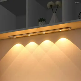 Luci notturne Luce a LED Sensore di movimento USB Wireless Ultra sottile PIR Dispositivo di raffreddamento del vino per la camera da letto Armadio da cucina Illuminazione interna