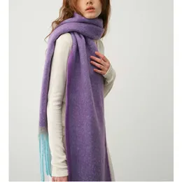 Swedish Designer Ny färg Blocking Border Imitation Cashmere Tassel Scarf For Women's Winter Atmosphere Soft Scarf 231015