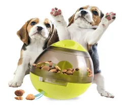 De senaste husdjurstumlaren läcker matbollar du kan äta när du spelar Dog Education Training Toys Teddy Golden Retriever Pet Suppli5251191
