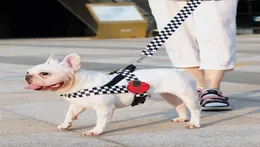 Fashion Dog Harness kołnierze smycze Regulowana oddychana kamizelka dla zwierząt nylonowych na zewnątrz trening treningowy Linia Kołd krawatowy 8479482