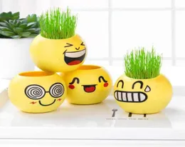 Novelty Items Desktop Decor Grass Growing Seed Head Planters Bonsai Pot with Earth Doll Miniatur Plants Heads Microlandscape orna2953578