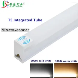 Fluorescerande direktinstallation Integrerad lampa 30 cm 60 cm T5 Tube Light Microwave Sensor Tubo 220/240V EU US Plug