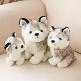 Großhandel Plüsch Simulation Husky Doll ausgestopfte Tiere Plüsch Spielzeug kleiner Hund er Ha Doll Fashion Hunde Weihnachtsgeschenk Huggy Wuggy Custom Toy Plüsch Tiere Spielzeug für Kind