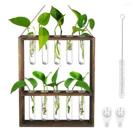 Vases Wall Hanging Planter 2 Tiered Plant Propagation Stations Glass Test Tube Vase For Hydroponics Plants Flowers