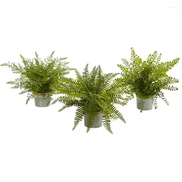 Carpets 14" Assorted Green Ferns Artificial Plant With Planter Set Of 3