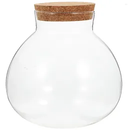 Vasos paisagem garrafa musgo artesanato terrário mini potes microlandschaft recipiente vazio plantador de vidro suculento para plantas