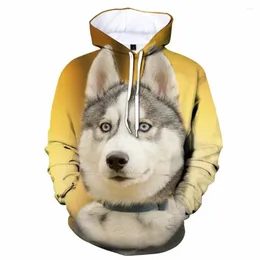 Herrtröjor söta siberian husky 3d tryck män/kvinnor laxitet hoodie casual överdimensionerad pullover modesweatshirt män kläder