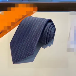 AAA New Designer Ties Fashion Silk Tie 100% Designer Jacquard Classic Woven Handmade Necktie for Men Wedding Casual and Business Neckties with Original Box