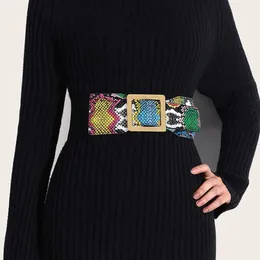 Belts Women's Belt Fashion Snake Pattern Patent Leather PU Wide Coat Dress Corset Luxury Designer Brand For WomenBelts