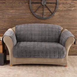Pokrywa krzesełka pewnie, że deluxe pokrywka zwierząt domowych - kanapa na sofę na sofy na sofy