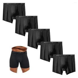 Underpants 5pcs Pack 2023 Men Panties Polyester Underwear Male Brand Boxer And For Homme Lot Luxury Set Sexy Shorts Gift Slip