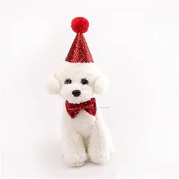 Psa odzieżowe czapki odzieżowe z kota Bowknot Cat urodzinowy cekin design design kapelusz kapelusz świąteczny