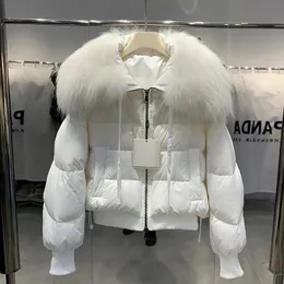 여자 다운 파카스 라 게이비 겨울 복어 재킷 여성 두꺼운 따뜻한 짧은 파카 진짜 천연 너구리 털 여성 느슨한 90% 흰색 오리 다운 코트 231120