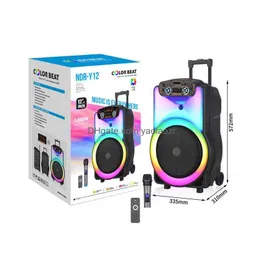 Haut-parleurs portables 12 pouces Big sans fil Bluetooth haut-parleur colonne extérieure chanter danse fête home cinéma système sonore avec microphone Dro Dhawb