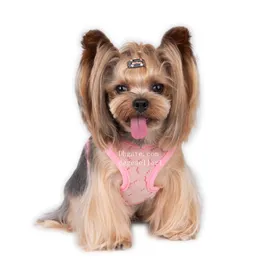 Step-in Dog Harness Leases Set Set Set Pet Vest Classic Jacquard Lettering Air Air Mesh Dog Harnesses for Dogs Small Cat Teacup shih tzu khaki xs b89