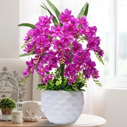 Flores decorativas high-end flor artificial phalaenopsis falso vaso conjunto sala de estar decorações de casamento