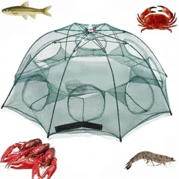 Gefaltetes Fischernetz, 4, 6, 8, 10 Löcher, automatisches Angeln, Garnelenfalle, Netz, Fisch, Garnelen, Elritze, Krabbenköder, Gussmaschenfalle, Fishnet1204j