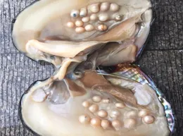 Big Oyster Pearl Fünf Jahre Aquakultur 2030 Stück Perlen 2018 Ganze einzeln vakuumverpackte kultivierte frische Oyster Pearl Far6527567