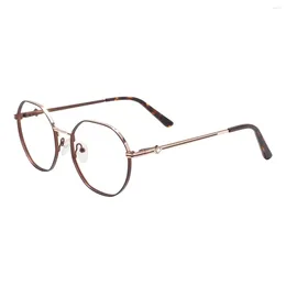 Solglasögon ramar män och kvinnor blandade färger metall polygonala glasögon med vårgångjärn för receptbelagda linser