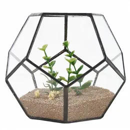 Black Glass Pentagon Geometric Terrarium Container Window Sill Decor Flower Pot Balcony Planter Diy Display Box No Plant T2001042489