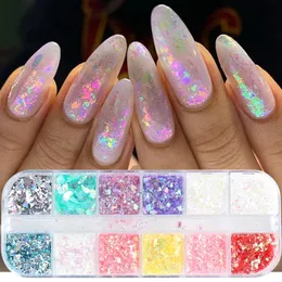 Polveri acriliche Liquidi 12 Griglie Fiocchi 3D Aurora Glitter per unghie Chunky Paillettes Polvere opale olografica per manicure Unghie Accessori 231121