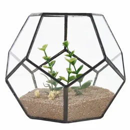 Black Glass Pentagon Geometric Terrarium Container Window Sill Decor Flower Pot Balcony Planter Diy Display Box No Plant T200104274R