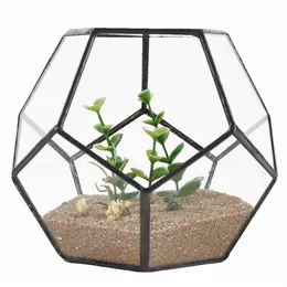 Pentágono de vidro preto, recipiente de terrário geométrico, decoração de peitoril de janela, vaso de flores, varanda, plantador, caixa de exibição diy, sem planta t200104253u