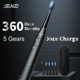 칫솔 Seago Electric Sonic USB 충전식 성인 4 개의 교체 헤드 선물 선물 SG575 231121과 함께 360 일 길이의 배터리 수명