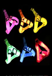 Nylon LED Dog Harness Pet Cat Dog Collar Harness Vest Safety Lighted Dog Harness XS S M L Promotion3042004