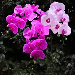 زهور زخرفية Shinesasha 7 رؤوس الاصطناعية phalaenopsis اللاتكس السيليكون الحقيقي اللمس الفراشة أوركيد أبيض زهرة الزفاف ديكور