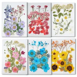 Dekoratif çiçekler karışık kurutulmuş presli çiçek yaprağı bitkisi herbaryum için mücevher için yer imi scrapbooking telefon kılıfı mum sanatçısı DIY