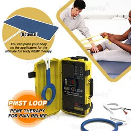 6000 Gauss Magnetic Therapy PMST LOOP For Pain Relief Head Treatment And Degenerative Arthritis Relaxing Magnetic Pulse Pemf Therapy Optional Full Body Mat