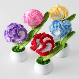 Dekorative Blumen, handgefertigt, gestrickt, Nelke, im Topf, künstliche gehäkelte Blumen, Desktop-Ornamente für Zuhause, Hochzeit, Party, Pografie-Requisiten