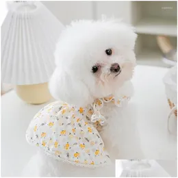 أزياء القط أزياء Cat Costume Fresses Summer Dresses Dog Cloth Lace Party for Small Dogs Drop Dropen