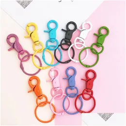 Haken Schienen Colorf Karabiner Schlüsselanhänger Herz Farbe Sprühfarbe Schlüsselanhänger Ringe für DIY Schmuckherstellung Entdeckungen Lx4889 Drop Del Dhovx