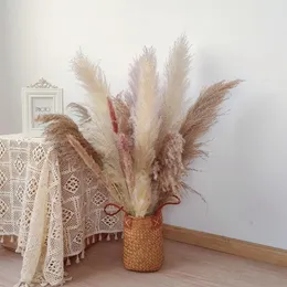 Decorative Flowers Large Size Natural Reed Dry Fluffy Pampas Grass Bouquet Set Bohemian Chic Wedding Home Country Fall Decor Po Props