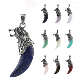 Kolye Kolyeleri Doğal Taş Kurt Diş Şekimi Yaratıcı Kolye Metal Metal Retro Cazibe Takı Reiki İyileştirme Kristal Hang Aksesuar