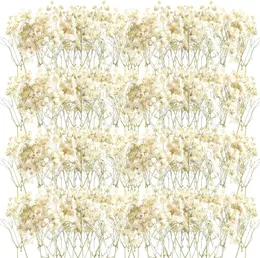 Dekoracje świąteczne 50pcs mini suszony biec brezy gipsophila Ivory Naturalne kwiaty na wazon ślub domowy biuro gardłowe karta ogrodowa Making Decor 231123