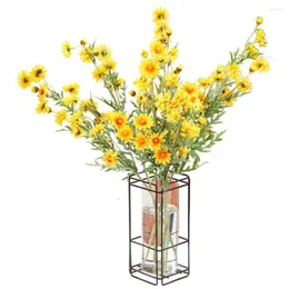 Vasos simples de escritório ornamentos em casa decoração de ferro armação de armação de armação de flor Prota de vidro quadrado vaso de vidro de vidro