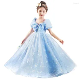 Mädchenkleider, blaues Pailletten-Schneeflocken-Prinzessinnenkleid für Kinder, rosa, elegant, Geburtstag, Karneval, Festzug, Auftritt für 2–14 Jahre alte Mädchen