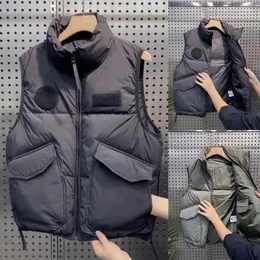 남자 조끼 도착 면화 조끼 단색 브랜드 가을과 겨울 한국 버전 Wick Warm Down Jackets B40