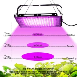 LED LED LIGHT Full Spectrum 220V 110V 50W 100W 200W 380-440NM مع قابس الاتحاد الأوروبي LED لدفيئة الزهرة المائية البذرة فيتو مصباح