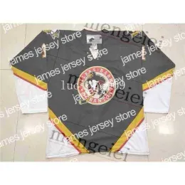 College Hockey Wears Thr Personalize Wilkes Barre Scranton Penguins 1 DE DWIGHT Hockey Jersey Bordado Costurado qualquer número e nome Jersey